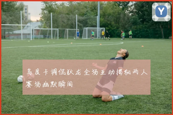 乌度卡调侃狄龙全场互动揭秘两人赛场幽默瞬间